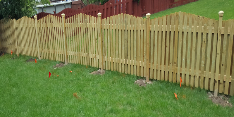 Affordable Yard Fences