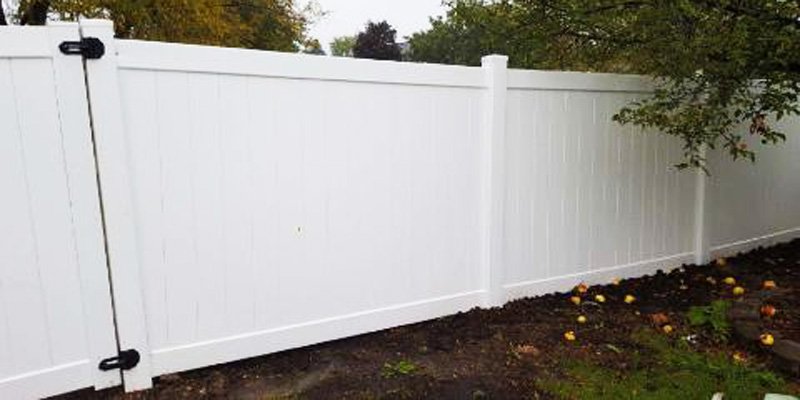 Affordable Yard Fences