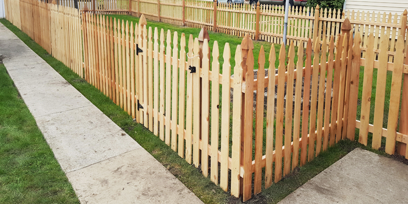 Affordable Yard Fences
