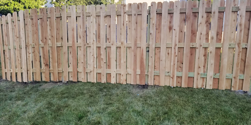 Affordable Yard Fences