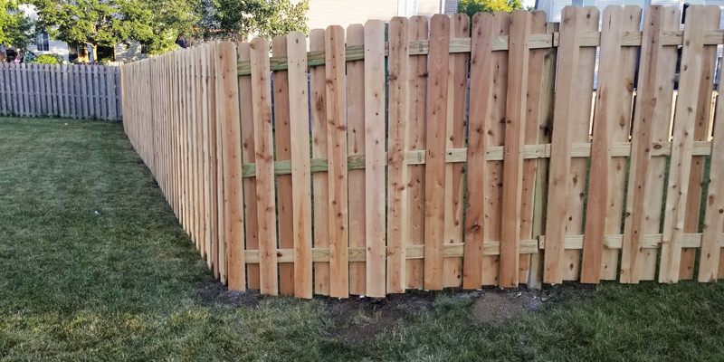 Affordable Yard Fences